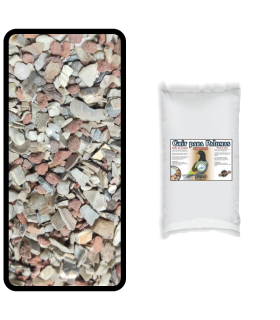 peguer concha de ostras 25 kg