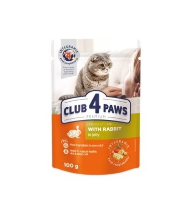4paws premium humedo gato 80 conejo gelatina 100 gr