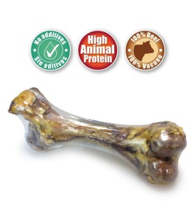 hueso de buey mamut 2758