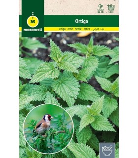 ortiga sobre 04 gr