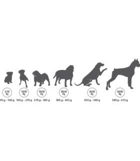 golden can vitality premium 20 kg