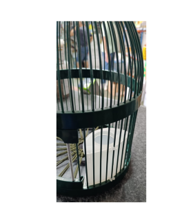 comedero interior jaula perdiz