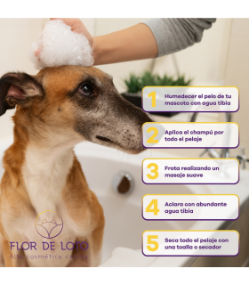 champu pieles sensibles 300 ml fdl