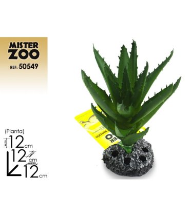 planta decorativa terrario 14 cm