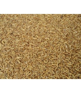 gusano harina tenebrio deshidratado bolsa 5 kg 4258