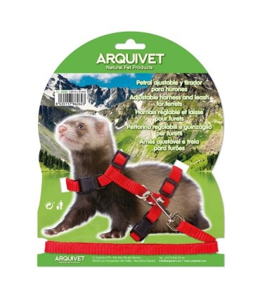 petral hurones 125x8 6262