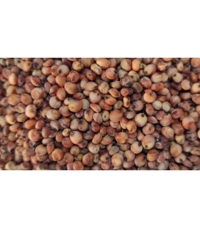 sorgo rojo 1 kg