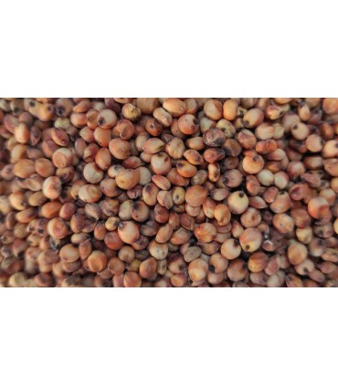 sorgo rojo 1 kg
