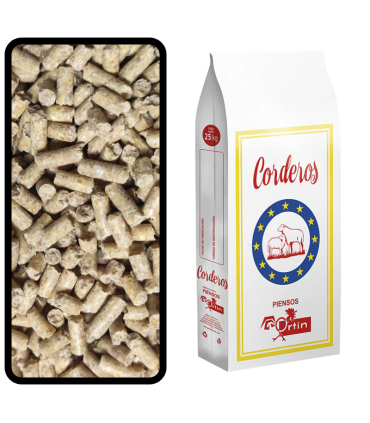 oe corderos engorde 25 kg