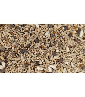 peguer agaponis y cotorras super cria 20 kg saco