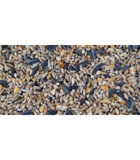 mezcla camperos con pipas 25 kg