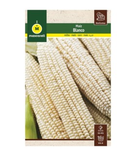 m 41104 maiz blanco 5 gr