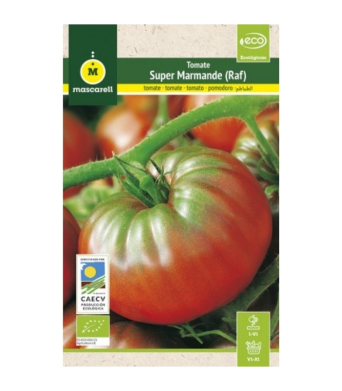 m 51168 tomate raf supermande 075 gr