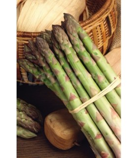 m 91072 esparrago argenteuil 2 gr