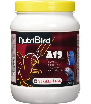 pasta nutribird a 19 polluelos 800 gr