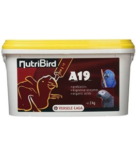 pasta nutribird a 19 polluelos 3 kg
