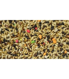 peguer mixtcanarios savena extra saco 20 kg