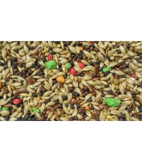 peguer mixtcanarios sin avena bolsa 4 kg