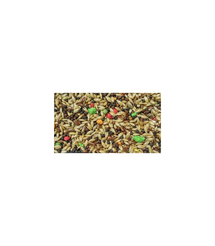 peguer mixtcanarios sin avena bolsa 4 kg