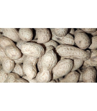 cacahuetes bolsa 2 kg