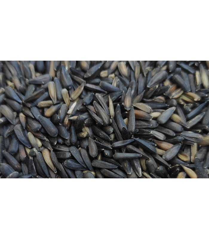 pipa micro bolsa 4 kg