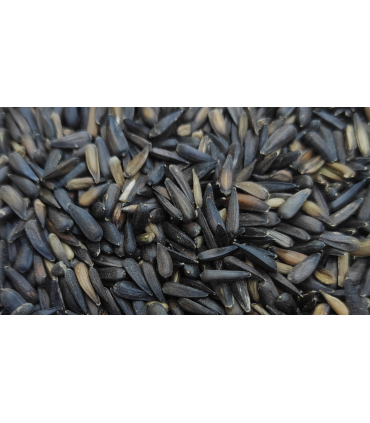 pipa micro bolsa 4 kg