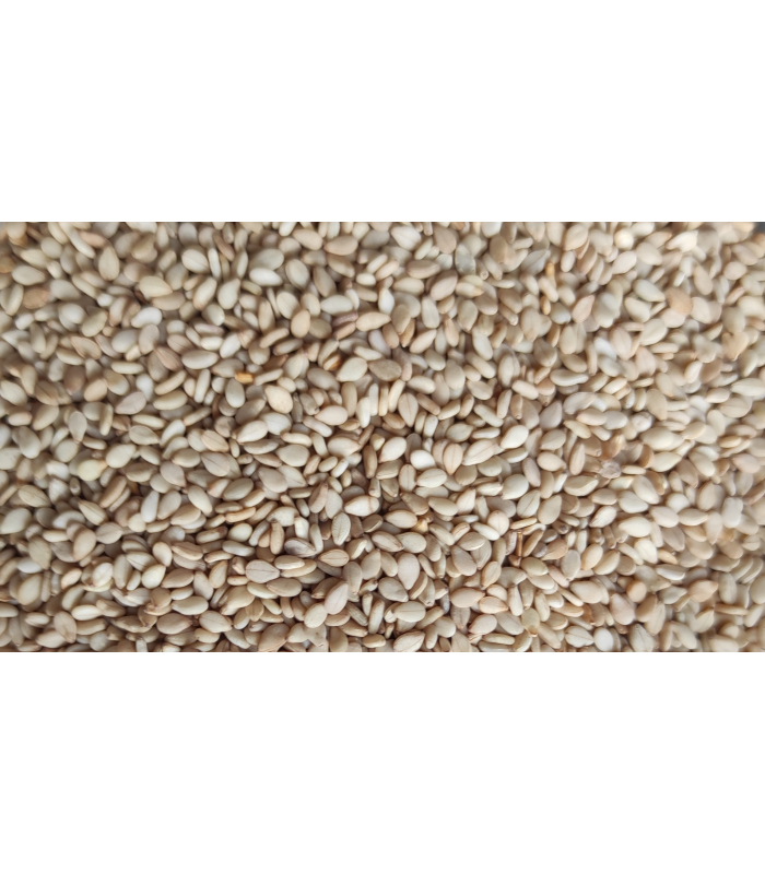 semilla sesamo 1 kg