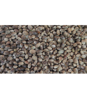 canamon pequeno bolsa 4 kg