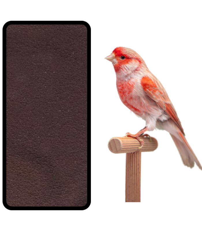 carrofil bolsa 10 gr