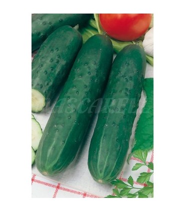 m 91126 pepino super marketer 3 gr