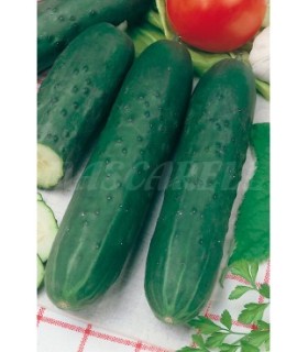 m 91126 pepino super marketer 3 gr