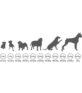 iberian pork y rice 15 kg ortin premium