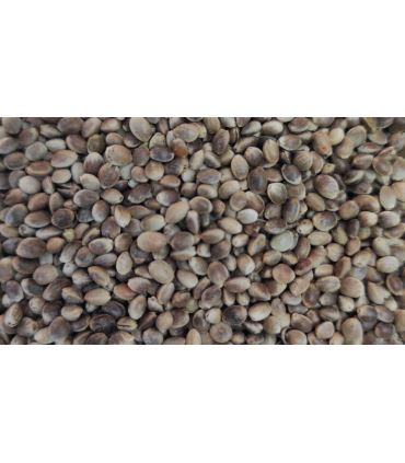 canamon pequeno bolsa 800 gr