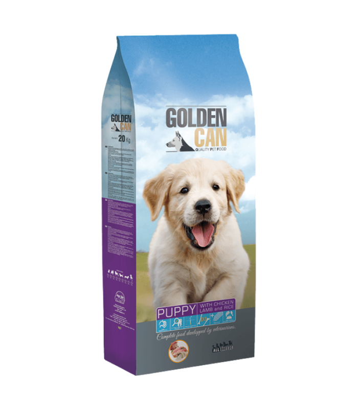 golden can cachorro 4 kg puppy