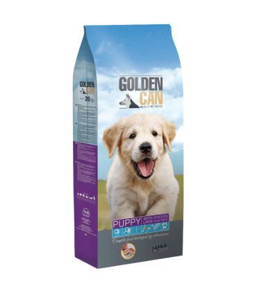 golden can cachorro 4 kg puppy