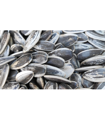 pipas usa loro bolsa 400 gr