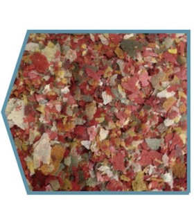 peguer peces agua tropical 100 m 20 gr