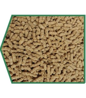 peguer stick tortugas 300gr 50 gr gratis 1400 ml