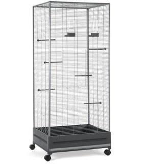 pajarera economic v 420 stej 655x54x15