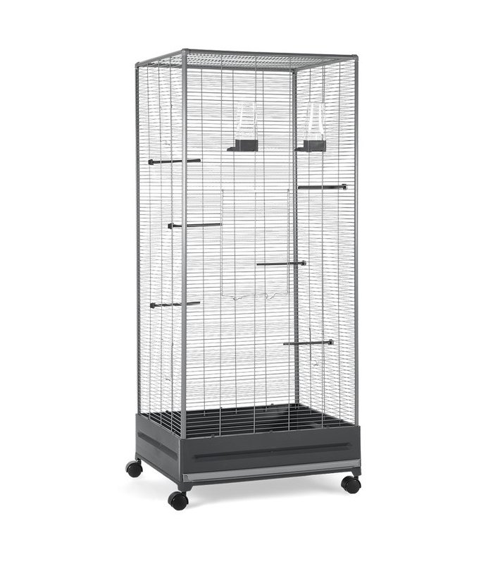 pajarera economic v 420 stej 655x54x15