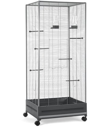 pajarera economic v 420 stej 655x54x15