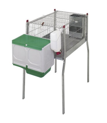 11483 jaula marsella cpatas con nido