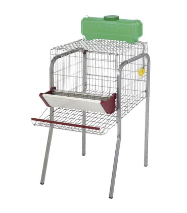 30701 jaula gallinas 1 dpt