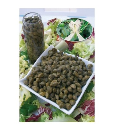 m 4185 semilla de alcaparra