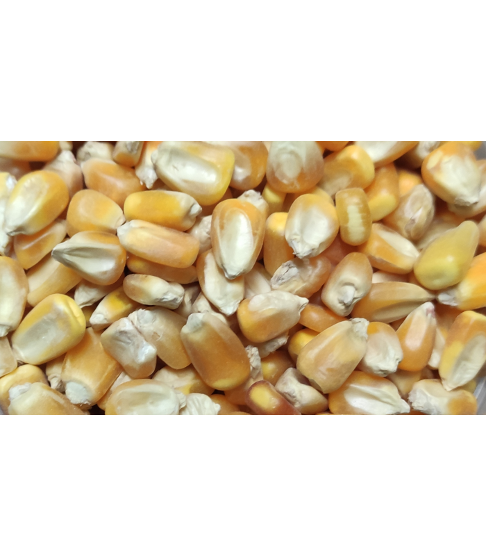 maiz bolsa 4 kg