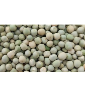guisantes blancos 25 kg