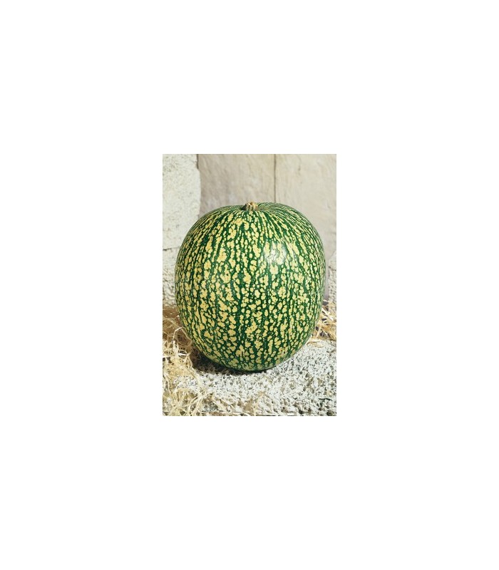calabaza cabello de angel 15 gr