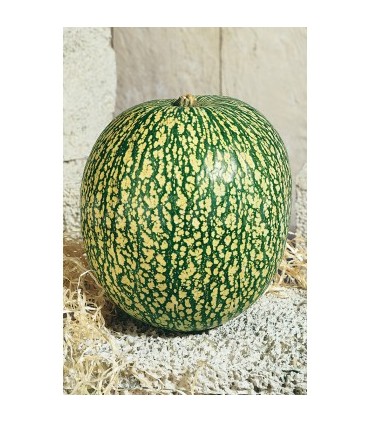 calabaza cabello de angel 15 gr