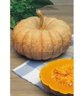 calabaza dulce de horno totanera 15 gr