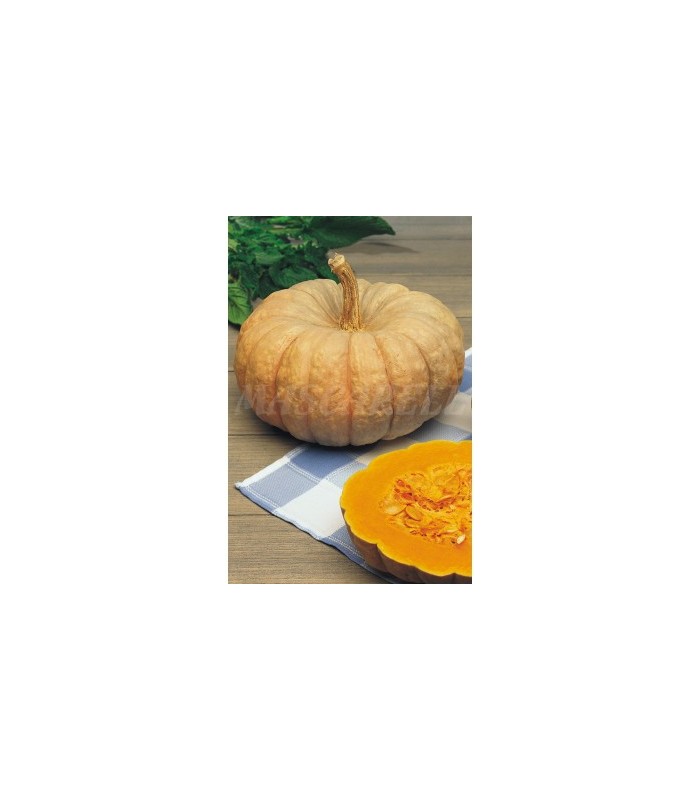calabaza dulce de horno totanera 15 gr